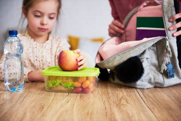 Lunch Box Green
